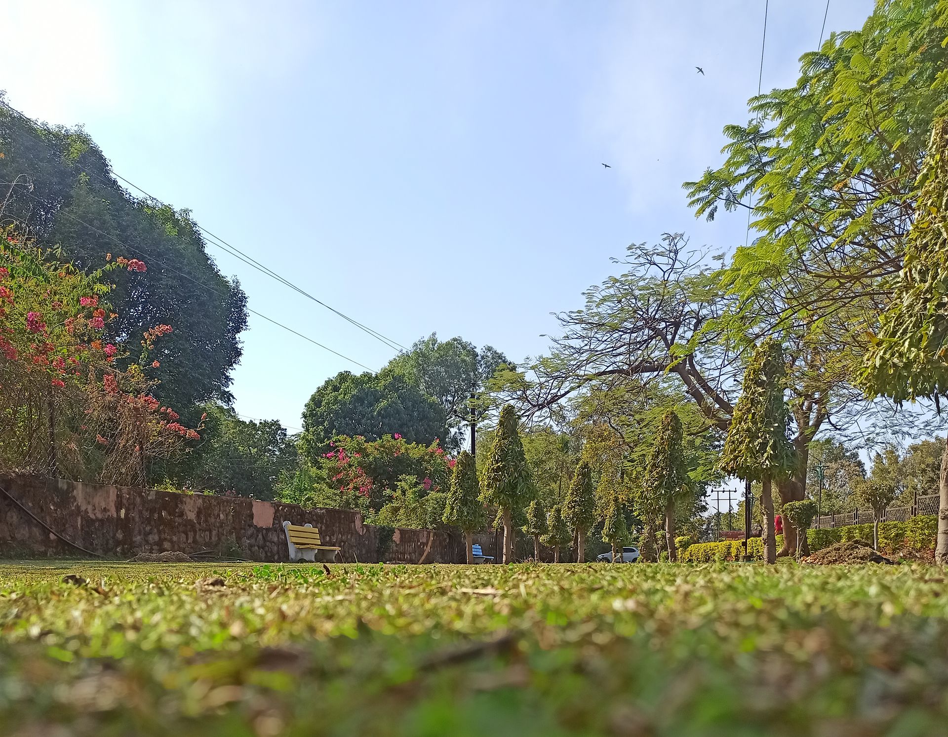 Peaceful Park Scene