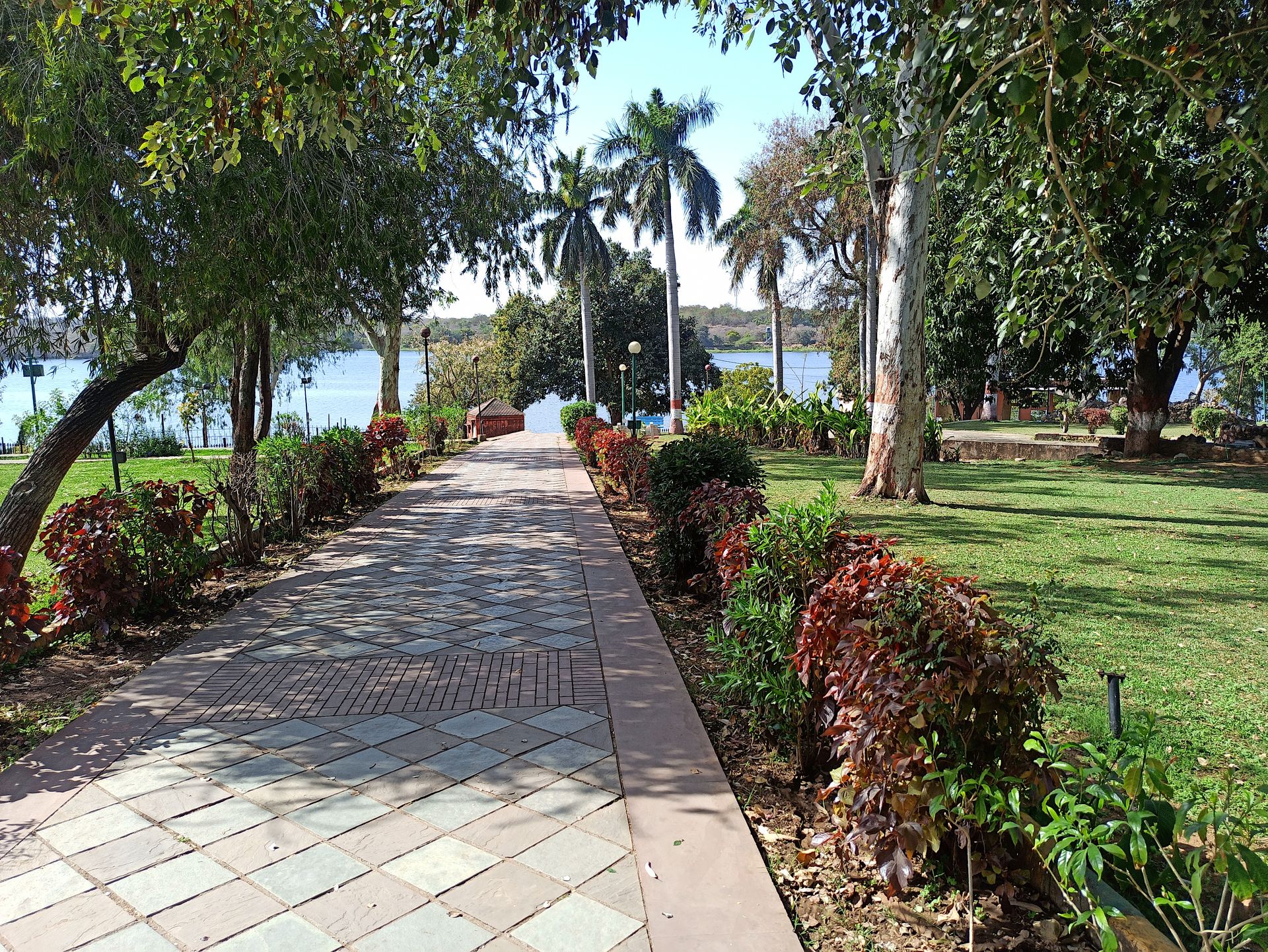 Tranquil Park Pathway to Serenity